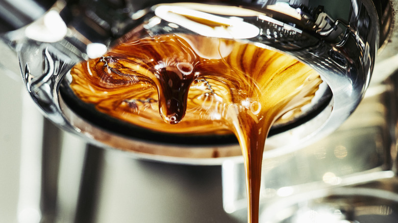 Close up of an espresso shot extracted from a professional machine