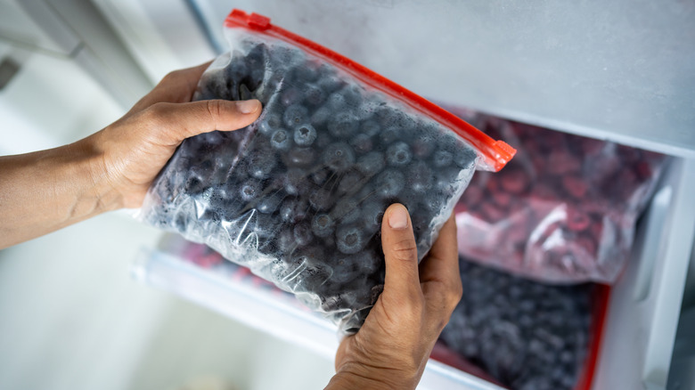 putting berries into the freezer