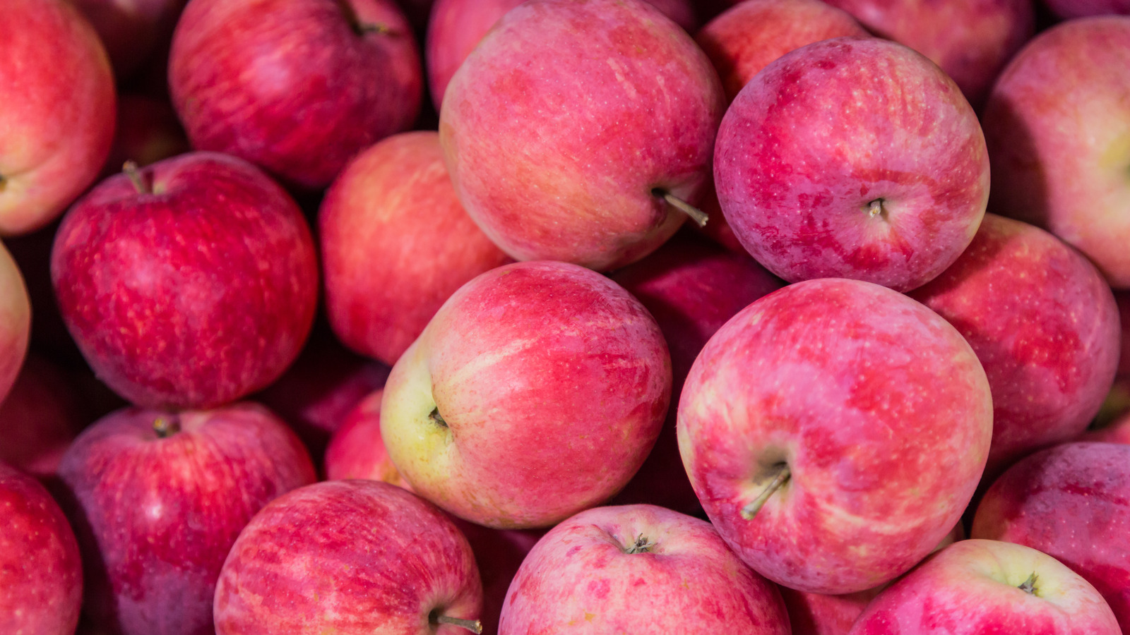 لماذا يحتوي التفاح الموجود في متاجر البقالة على هذه الطبقة الرقيقة من الشمع؟