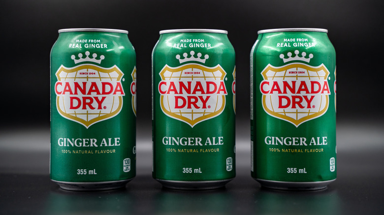 displayed ginger ale cans