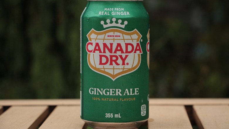 A can of Canada Dry ginger ale