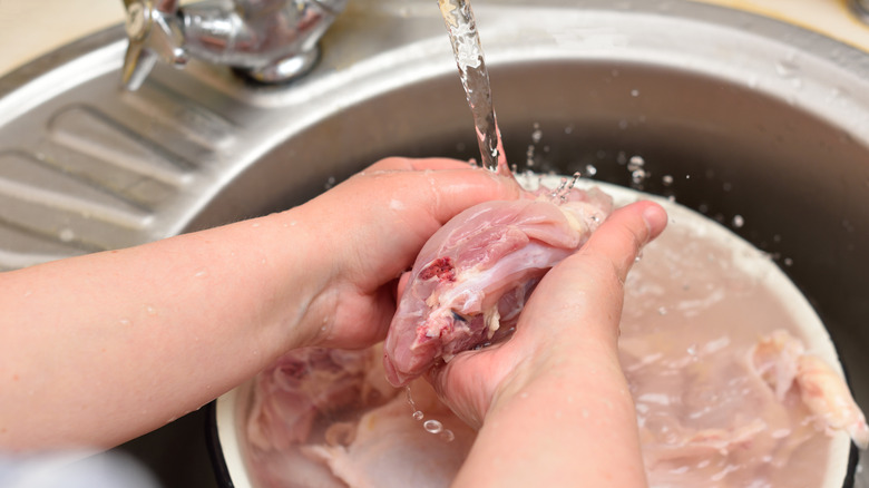Hands washing raw chicken