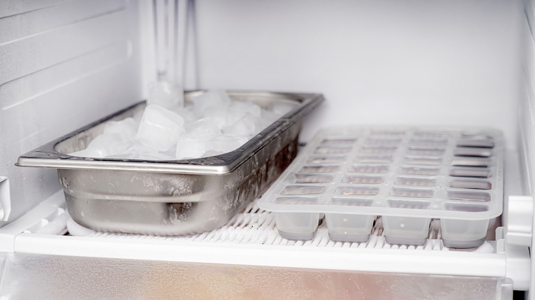 ice cubes held in mold