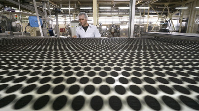 Oreo cookies on a factory production line.