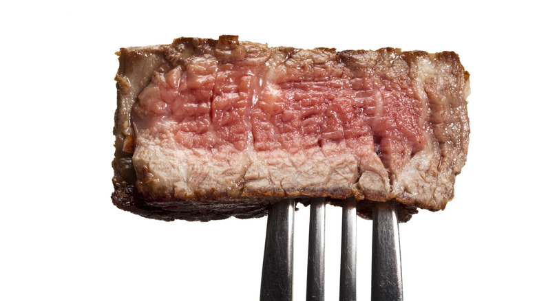 Grilled steak on fork