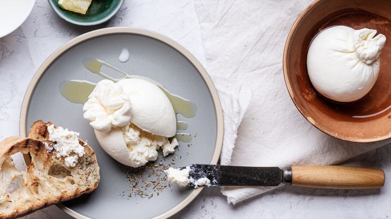 burrata cheese with toast, oil, and herbs