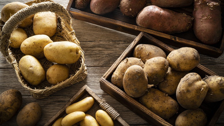 assorted potatoes