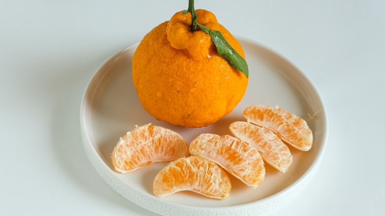 What Is Sumo Citrus?