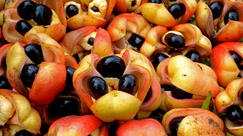 Ackee Bud Fruit