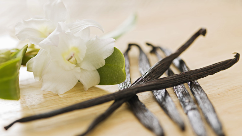 Vanilla pods with a flower