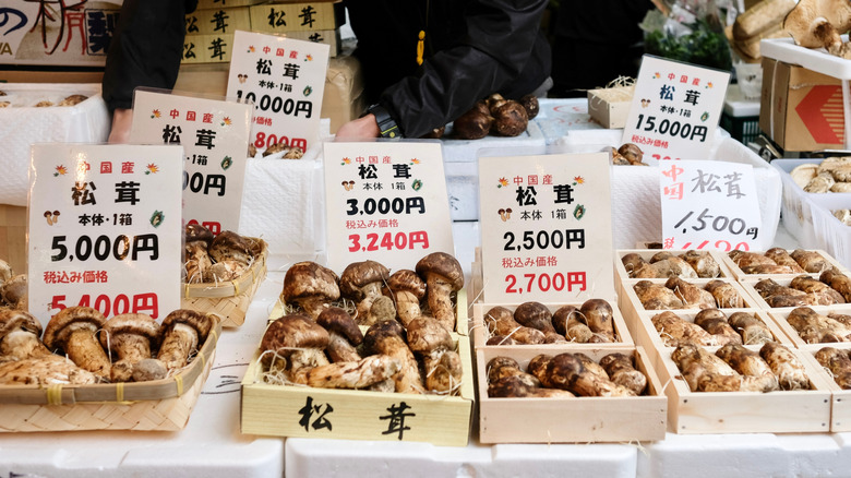 Boxes of matsutake