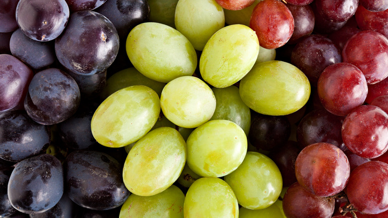 A selection of purple, green, and red grapes