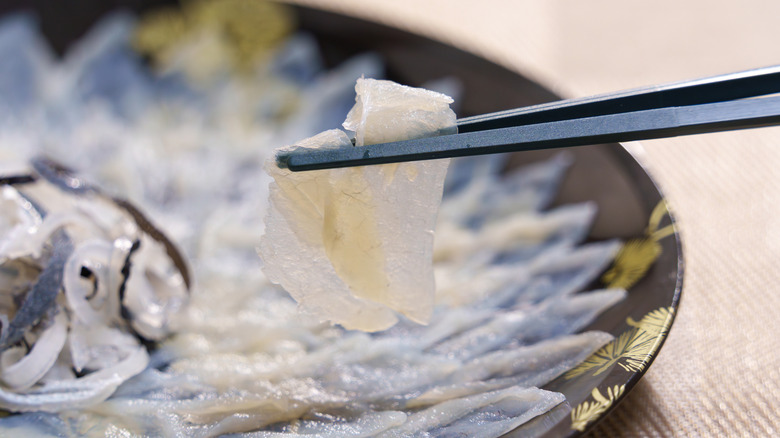 chopsticks holding blowfish sashimi