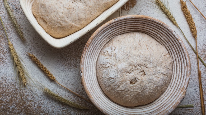 Bread dough proofing in bannetons