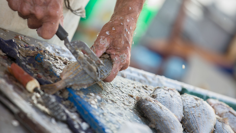 fishmonger descaling fish