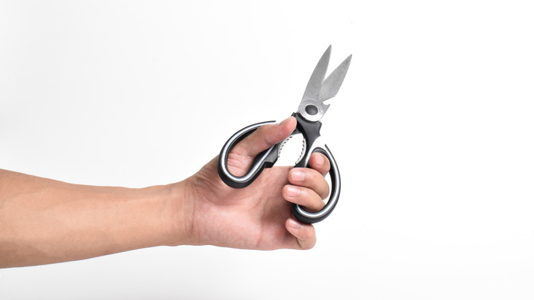 Hand holding kitchen shears