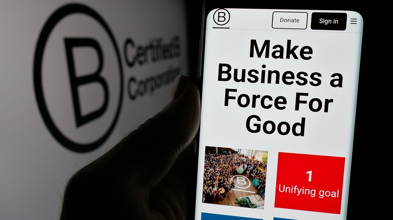 B Corp information