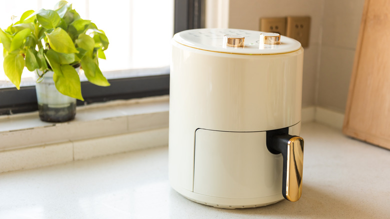 Air fryer on counter