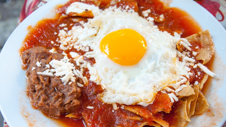 red sauce chilaquiles with egg