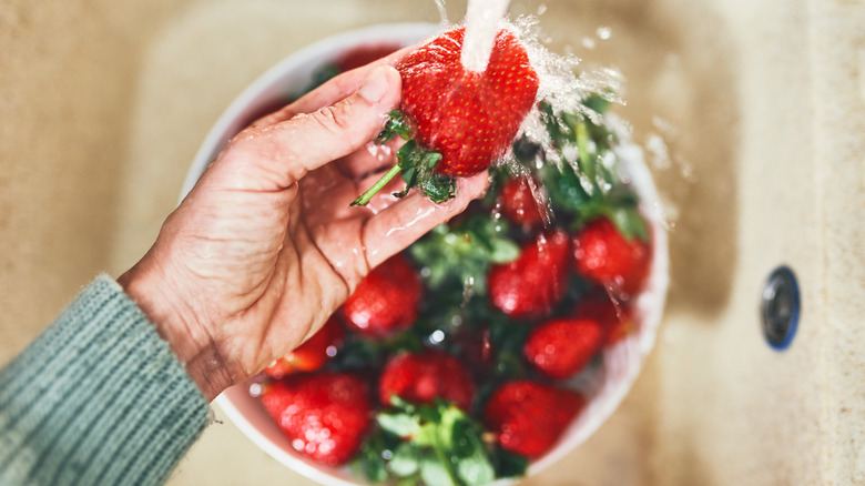 Rinsing strawberries