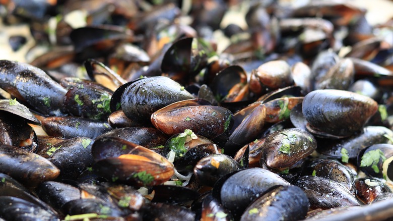 Close-up pile of fresh mussels