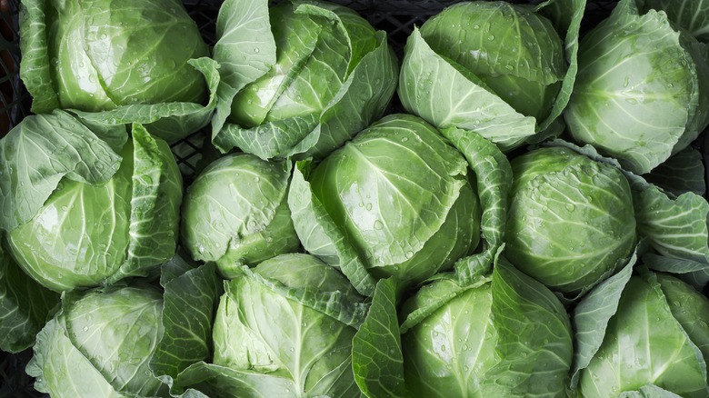 A bundle of cabbages at a market. 