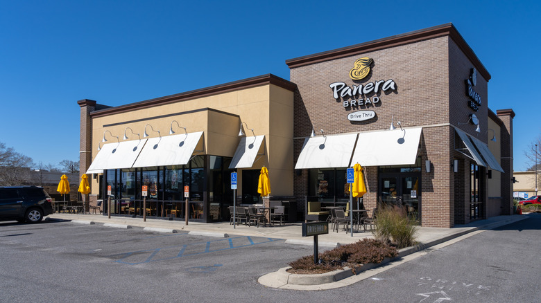 a Panera Bread restaurant with folded yellow umbrellas in outdoor seating area