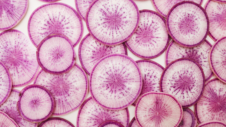 colorful stacked slices of radish