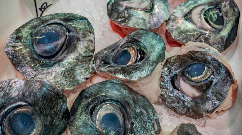 Fish eyes at a street market in Japan.