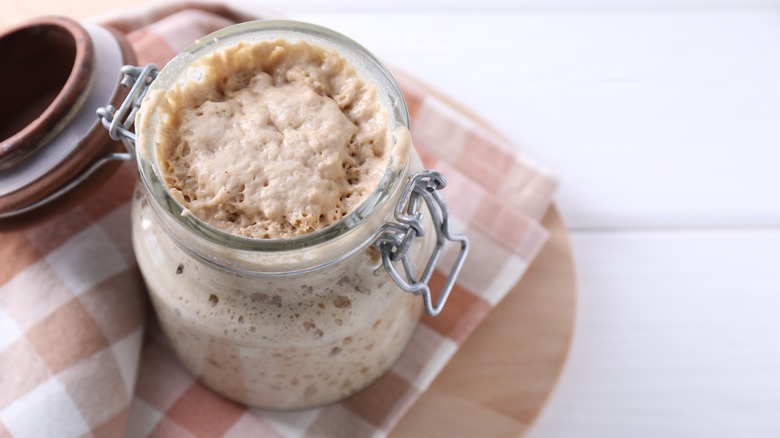 sourdough starter in a jar close up