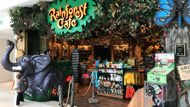 Rainforest Cafe gift shop entrance