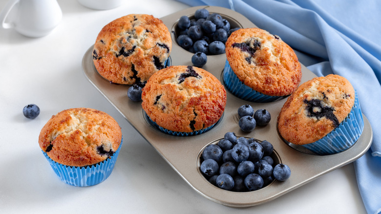 Blueberry muffins baking in a small tin with blueberries in cups