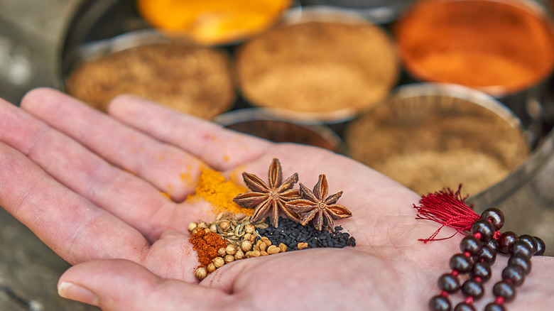 hand holding various Indian spices