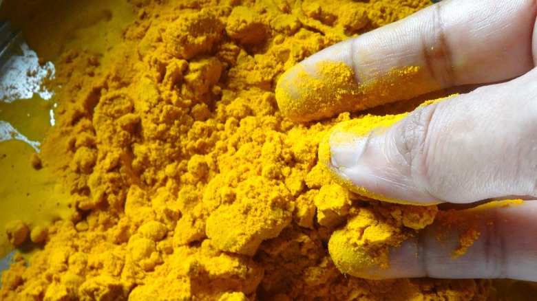 fingers touching tumeric powder