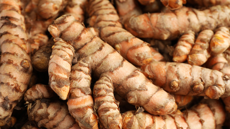 turmeric roots in a pile