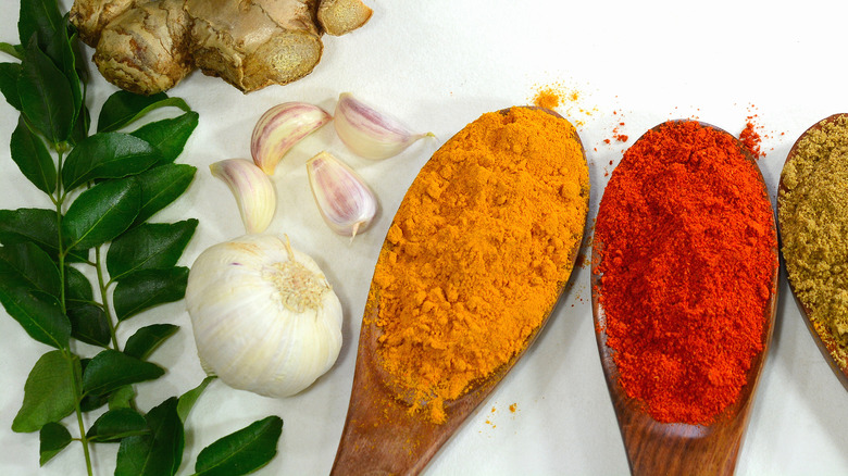 ginger, paprika, and other spices