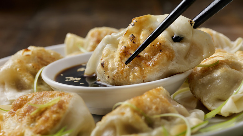 Pan-fried Chinese dumplings