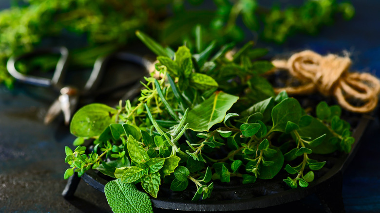 collection of fresh-picked herbs