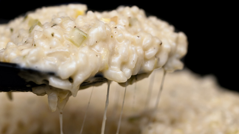 Spoon of cheesy, creamy risotto