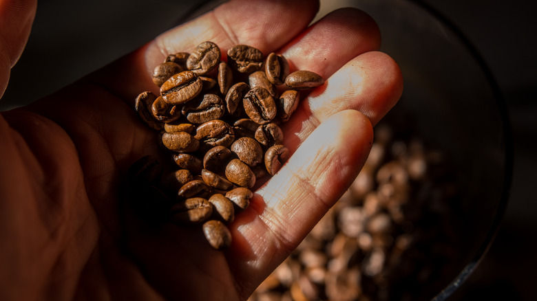 Coffee beans