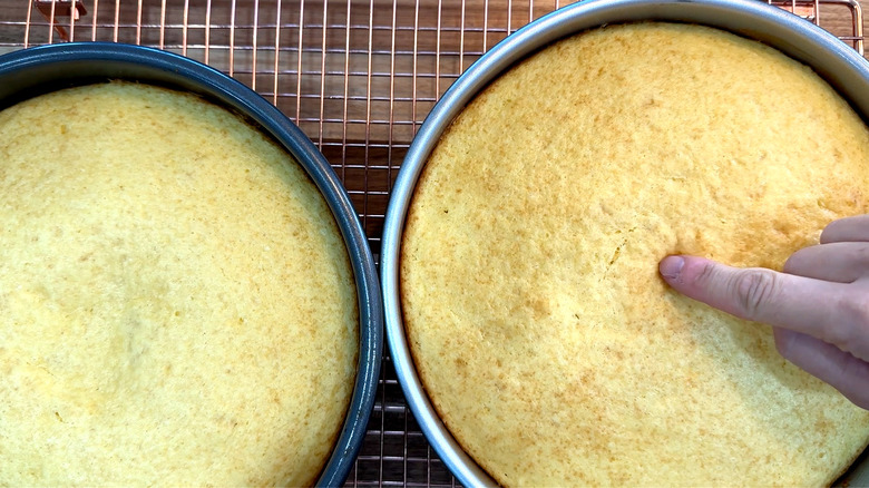 Freshly baked round cakes